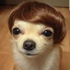 😎hey handsome😎I accept *most* offers😎